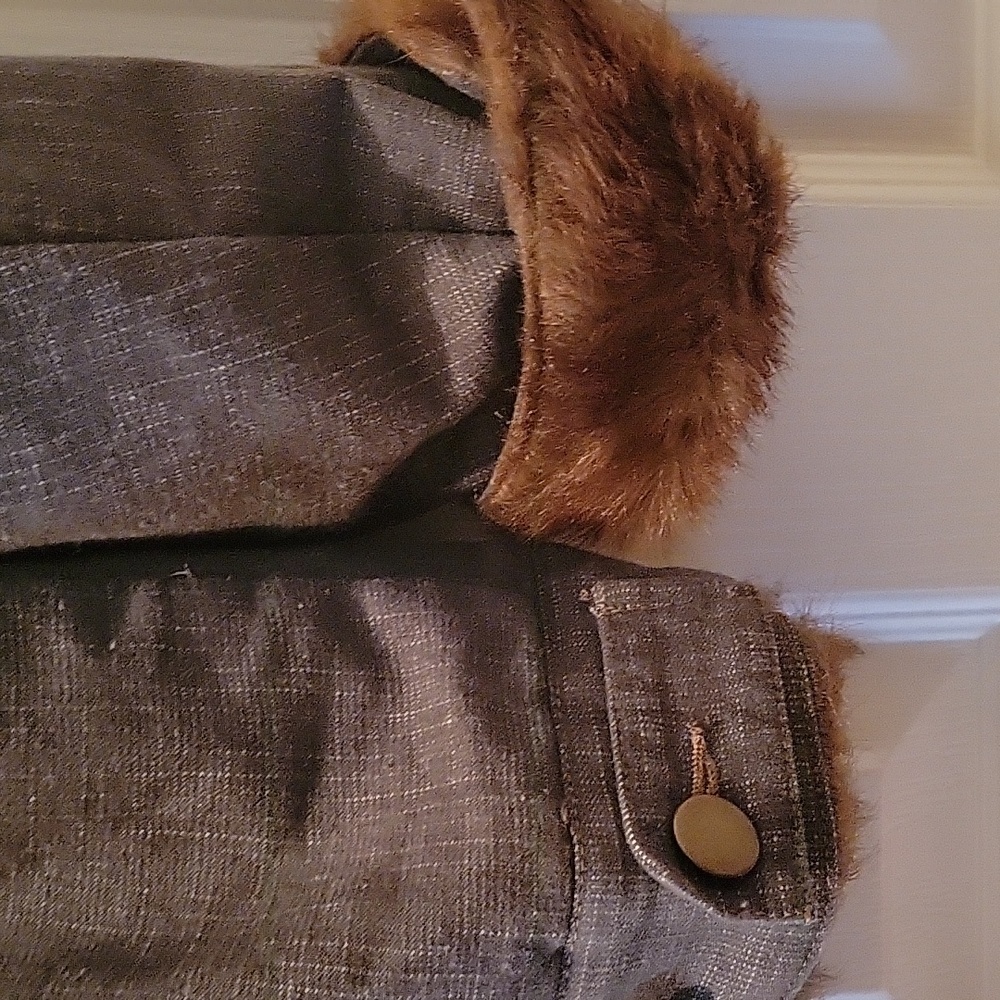 Jacket - Picture 9 of 11